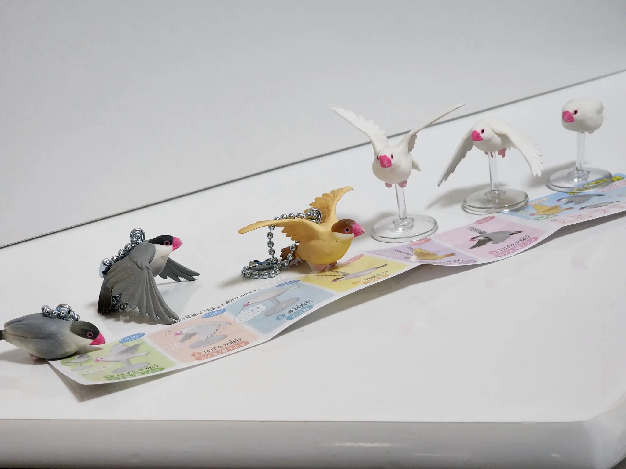 Tarlin กระจอก Java Sparrow น่า - Capsule Toy Gashapon บทวิจารณ์และราคา