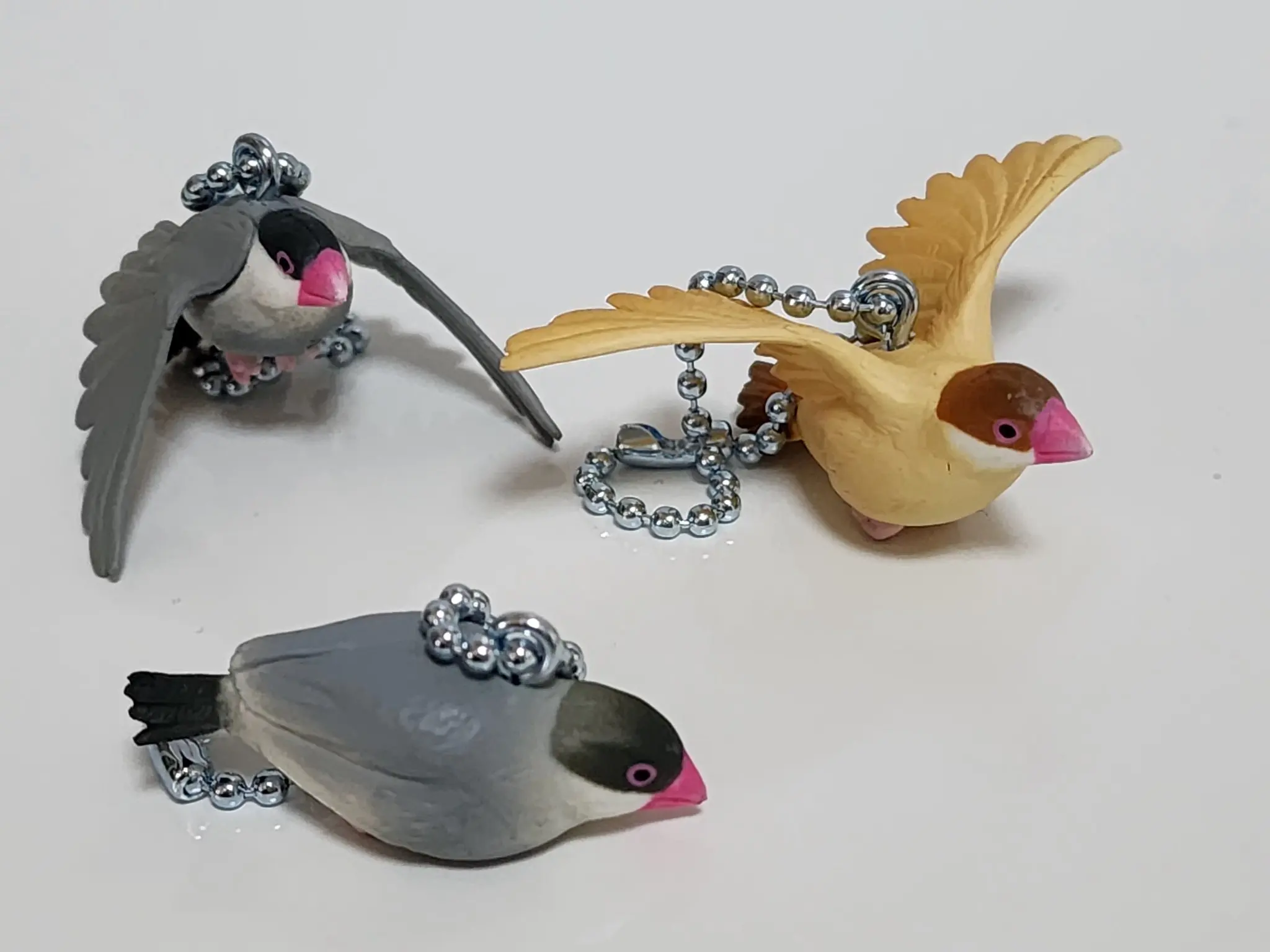 Tarlin กระจอก Java Sparrow น่า - Capsule Toy Gashapon บทวิจารณ์และราคา